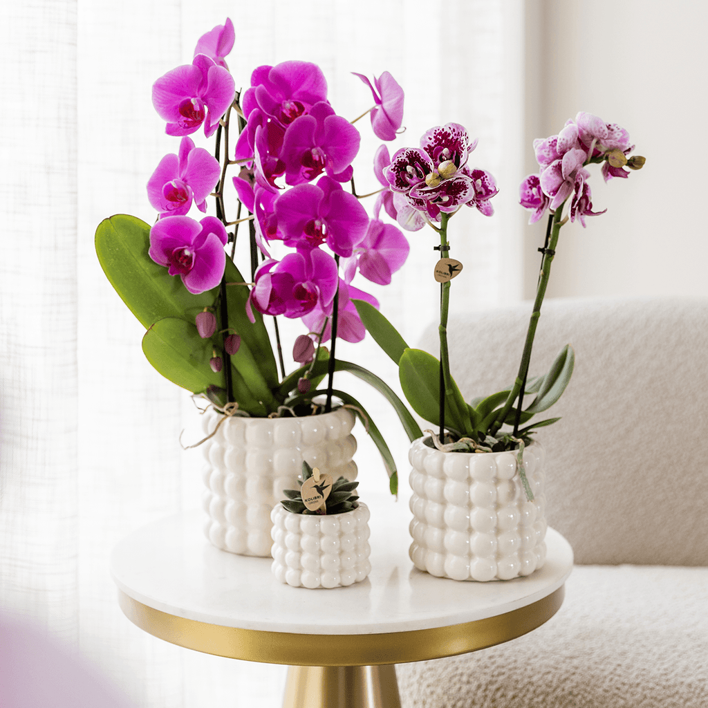 Poppy Ziertopf White – Blumentopf Ø12cm – Weißer Übertopf mit 3D Blasendesign – Moderner Pflanztopf glänzend für Zimmerpflanzen Kräuter & Deko – Pot