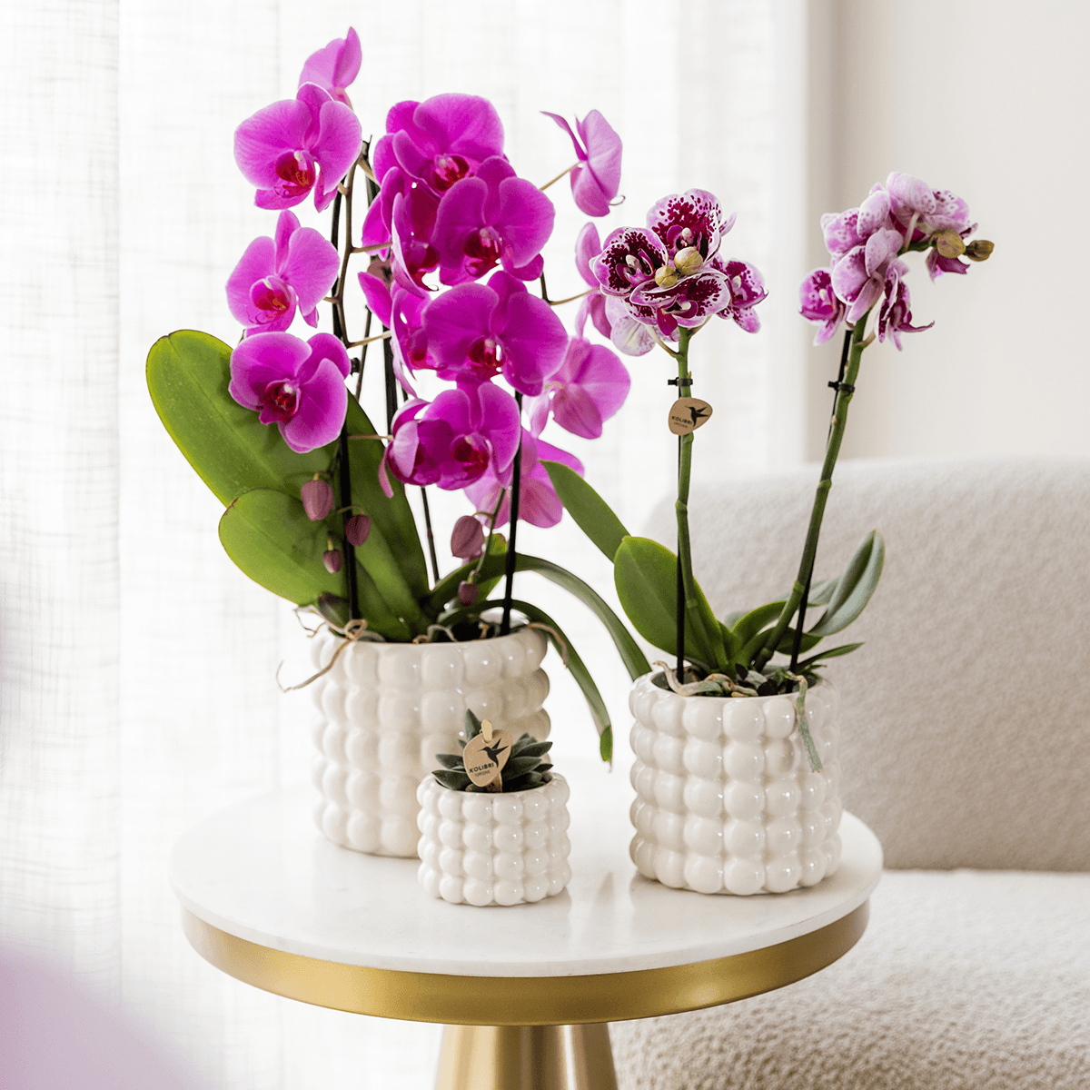 Poppy Ziertopf White – Blumentopf Ø12cm – Weißer Übertopf mit 3D Blasendesign – Moderner Pflanztopf glänzend für Zimmerpflanzen Kräuter & Deko – Pot