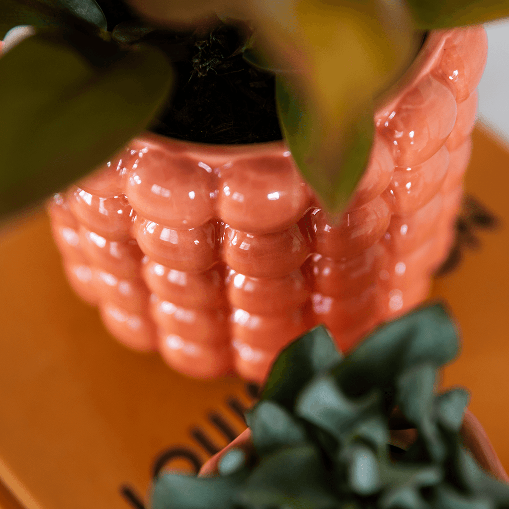 Poppy Pflanztopf – Orange – Ø9cm – Dekorativer Übertopf in Keramikoptik – Moderner Blumentopf für Zimmerpflanzen & Orchideen – Stilvolles Wohnaccessoire – Plant