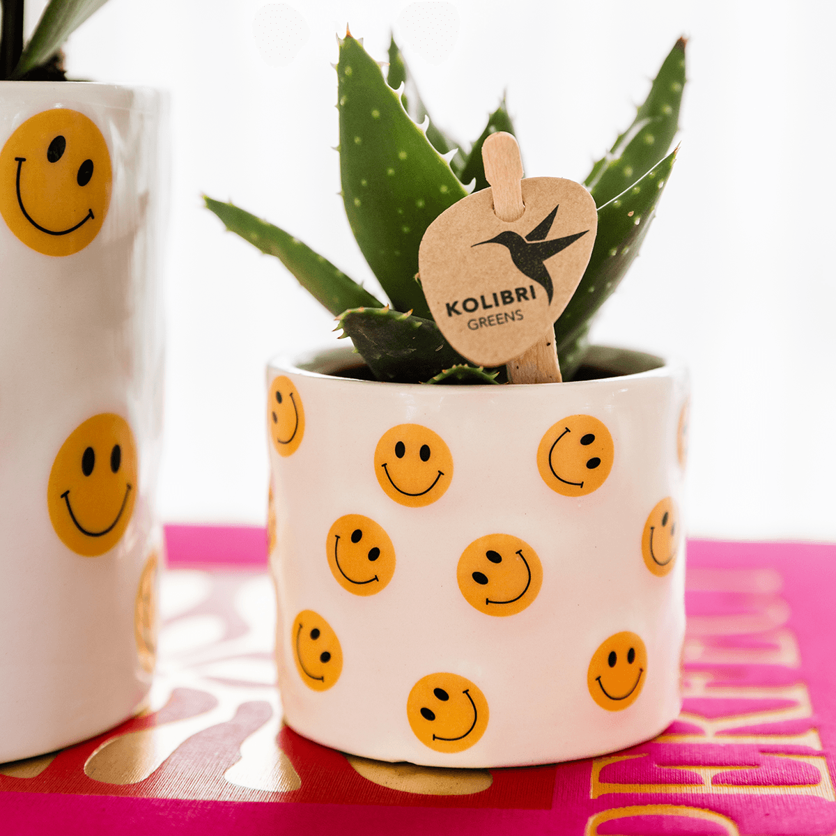Smiley Übertopf Ø6cm – fröhlicher Mini Blumentopf mit gelben Smileys – Pflanztopf für Sukkulenten, Kakteen & Stecklinge – Pot