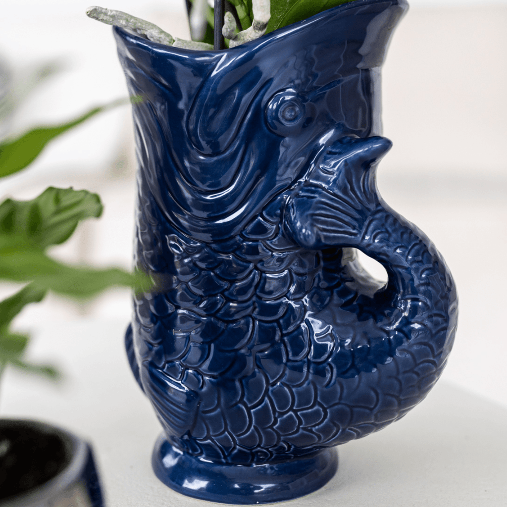 Set mit Orchidee Lima & Sukkulenten – In Keramiktöpfen Ø9cm & Ø6cm – Blühende Zimmerpflanze mit Sukkulenten – Dekoratives Pflanzenset – Plant