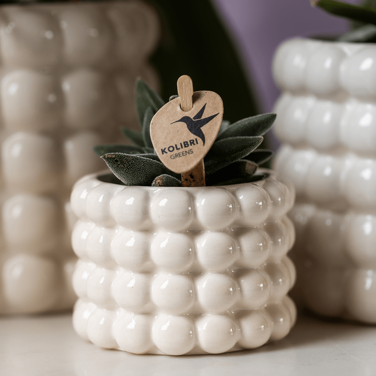 Ziertopf Poppy – Weiß – Ø6cm – Moderner Mini Blumentopf aus Keramik – Glänzender Übertopf für kleine Zimmerpflanzen, Sukkulenten & Kakteen – Plant
