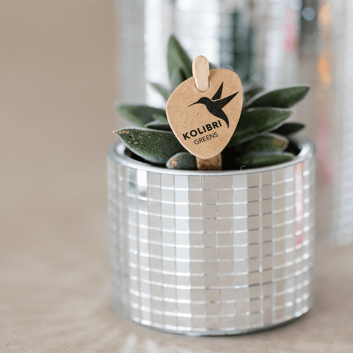 Blumentopf Disco – Ø6cm – Kleiner Keramik Ziertopf mit glänzender Struktur – Moderner Übertopf für Mini – Zimmerpflanzen, Sukkulenten & Kakteen – Plant
