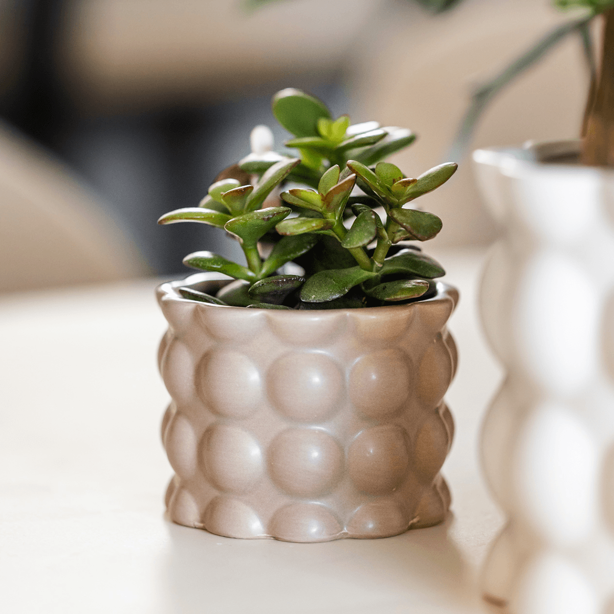 Blumentopf Cotton – Sand – Ø6cm – Kleiner Keramik Pflanztopf in matter Optik – Stilvoller Übertopf im Slow Living Design für Mini – Plant