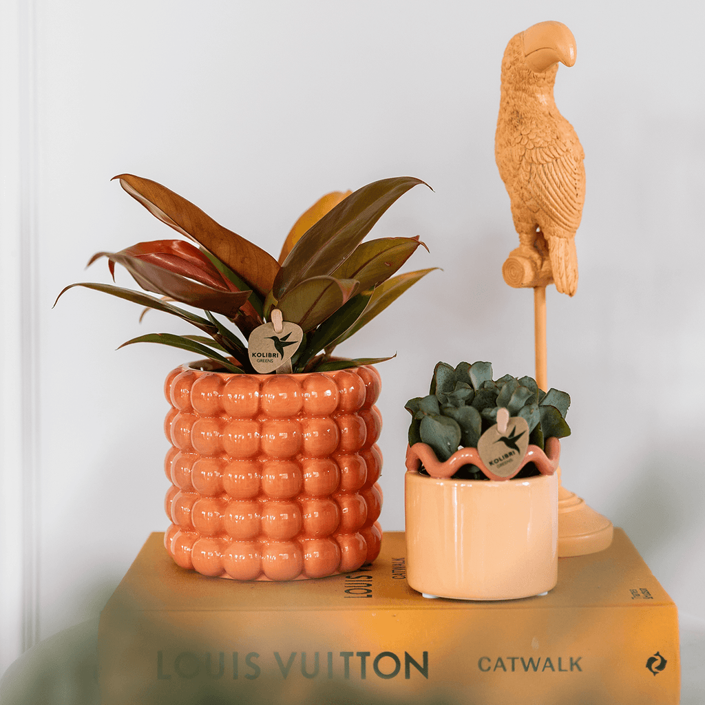 Poppy Pflanztopf – Orange – Ø9cm – Dekorativer Übertopf in Keramikoptik – Moderner Blumentopf für Zimmerpflanzen & Orchideen – Stilvolles Wohnaccessoire – Plant