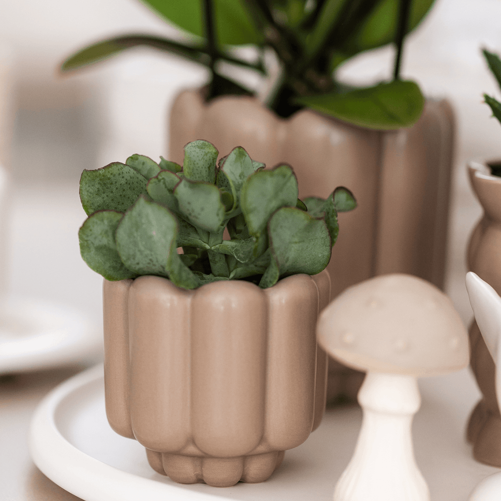 Retro – Ziertopf Sand Ø6cm – Runder Blumentopf mit Rillenstruktur – Übertopf im Vintage – Design – Mattes Finish für Mini – Plant