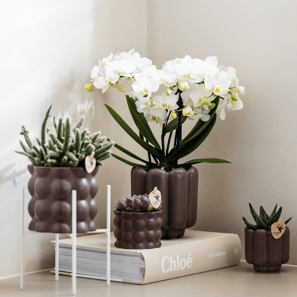 Retro Pflanztopf – Brown – Ø9cm – Dekorativer Übertopf aus Keramik – Blumentopf mit Rillenstruktur – Für Orchideen & Grünpflanzen – Plant