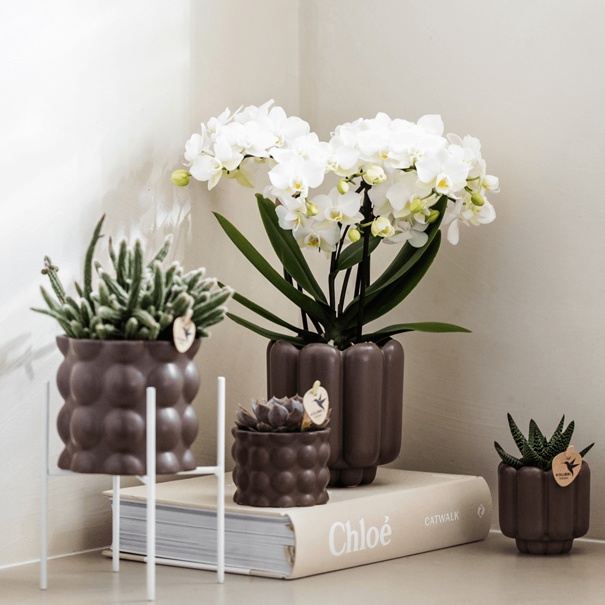Retro Pflanztopf – Brown – Ø9cm – Dekorativer Übertopf aus Keramik – Blumentopf mit Rillenstruktur – Für Orchideen & Grünpflanzen – Plant