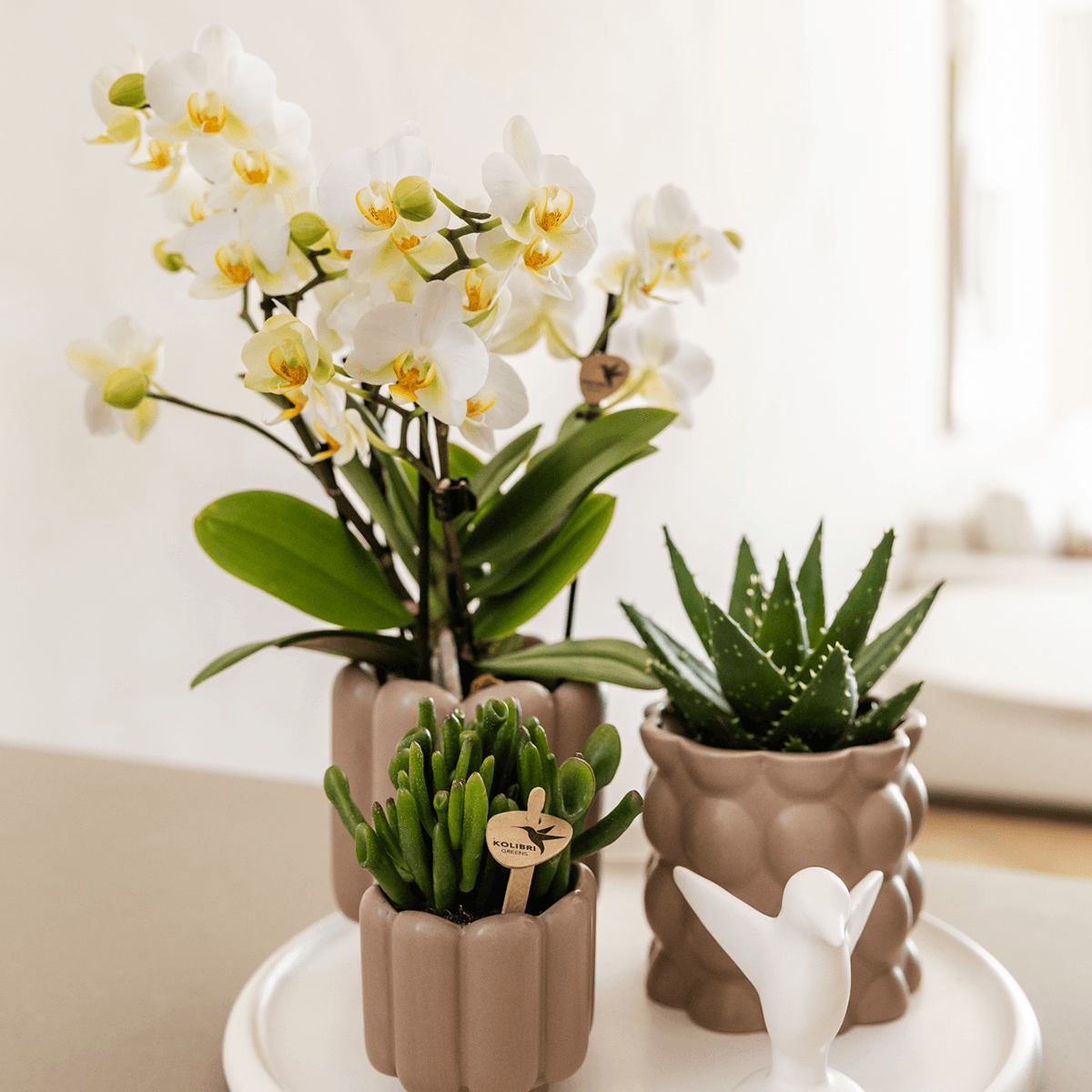 Retro – Ziertopf Sand Ø6cm – Runder Blumentopf mit Rillenstruktur – Übertopf im Vintage – Design – Mattes Finish für Mini – Plant