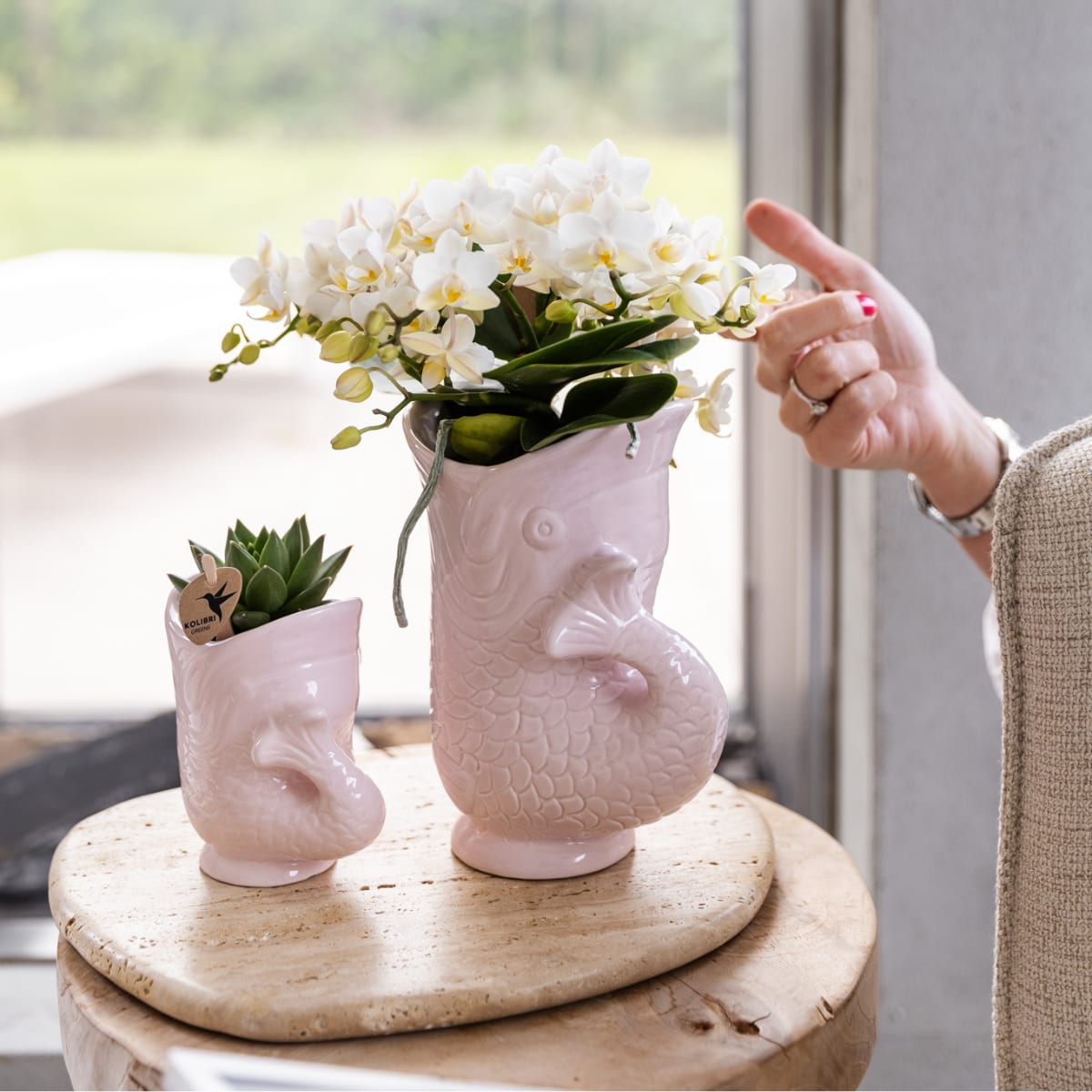 Weiße Orchidee Nazaré – Ø9cm – Zimmerpflanze im sommerlichen Fischtopf Rosa – Elegante Blüten für Wohnzimmer & Esstisch – Plant