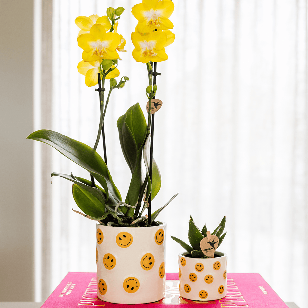 Smiley Übertopf Ø6cm – fröhlicher Mini Blumentopf mit gelben Smileys – Pflanztopf für Sukkulenten, Kakteen & Stecklinge – Pot
