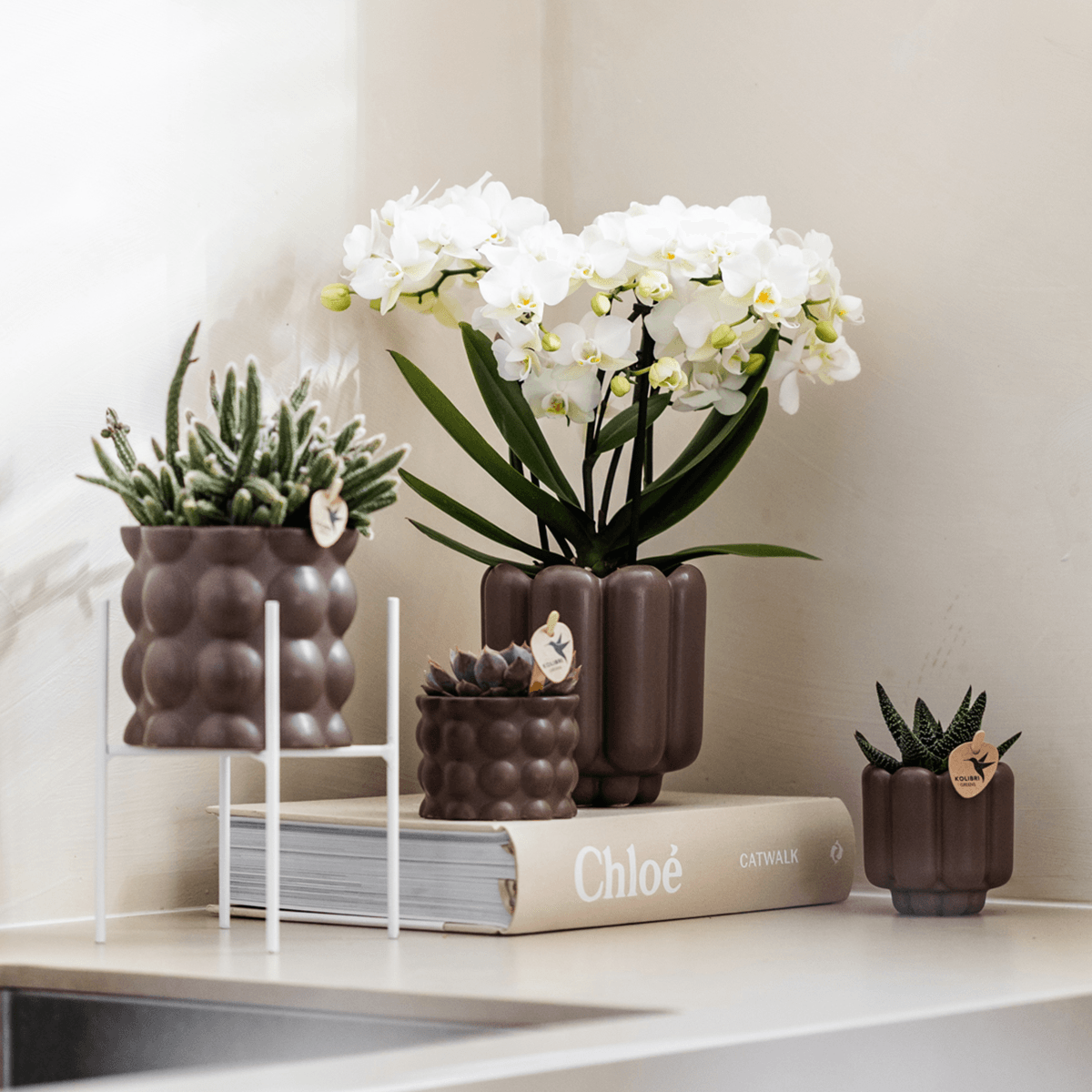 Retro Pflanztopf – Braun – Ø6cm – Dekorativer Mini – Übertopf aus Keramik – Blumentopf mit Rillenstruktur für Orchideen & Grünpflanzen – Plant