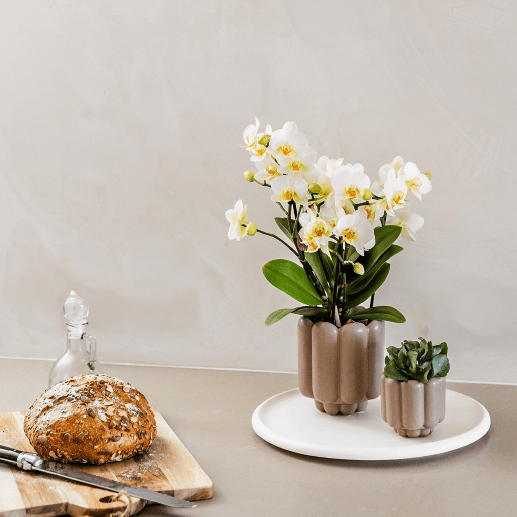 Retro – Ziertopf Sand Ø9cm – Runder Übertopf mit Rillenstruktur – Blumentopf im Vintage – Design – Mattes Finish für Zimmerpflanzen & Orchideen – Plant