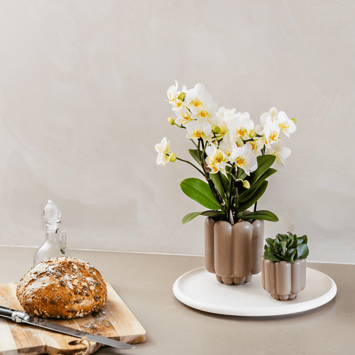 Retro – Ziertopf Sand Ø9cm – Runder Übertopf mit Rillenstruktur – Blumentopf im Vintage – Design – Mattes Finish für Zimmerpflanzen & Orchideen – Plant