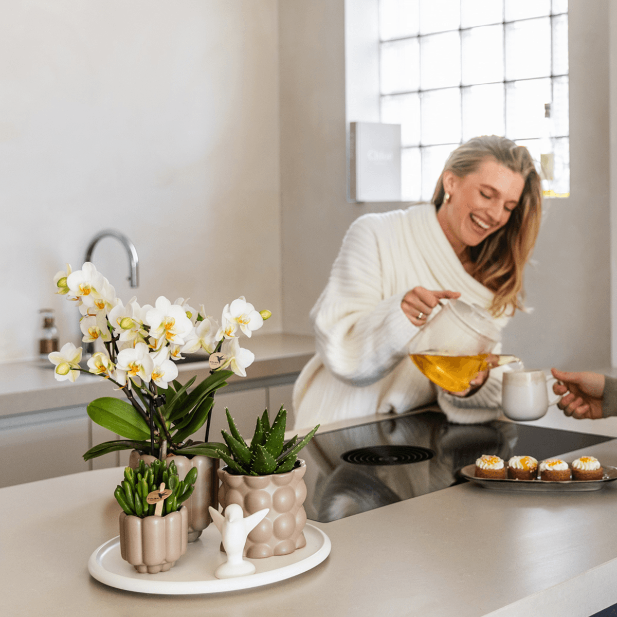 Topf Baumwolle – Sand – Ø9cm – Übertopf mit organischer Rillenstruktur – Keramik – Blumentopf für Orchideen & Zimmerpflanzen – Plant