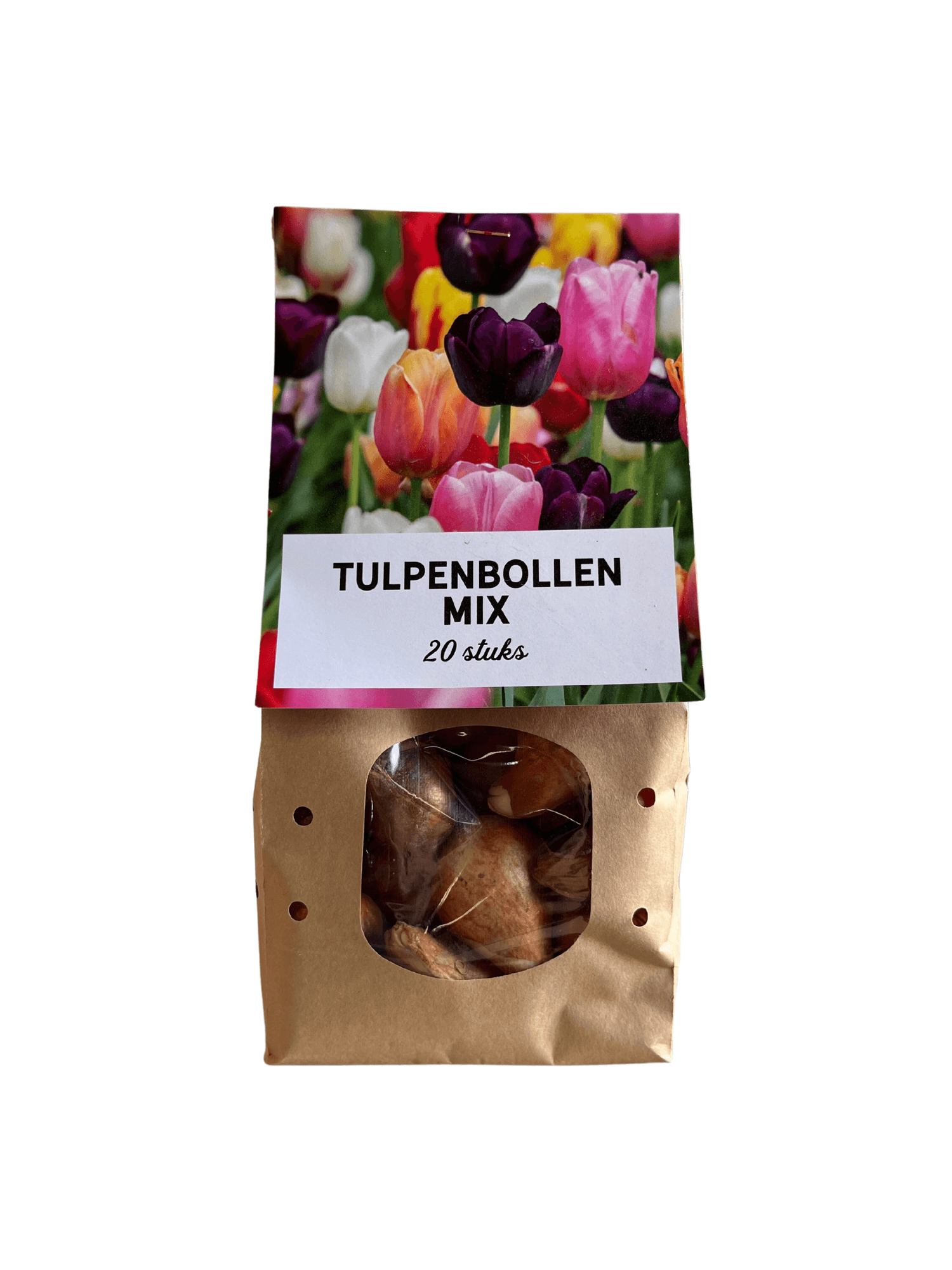 Tulpenzwiebeln Mix-Paket – 15 Beutel à 20 Zwiebeln – Insgesamt 300 Tulpenzwiebeln – Bunte Frühlingsblüher für Beet, Kübel & Vorgarten – Plant