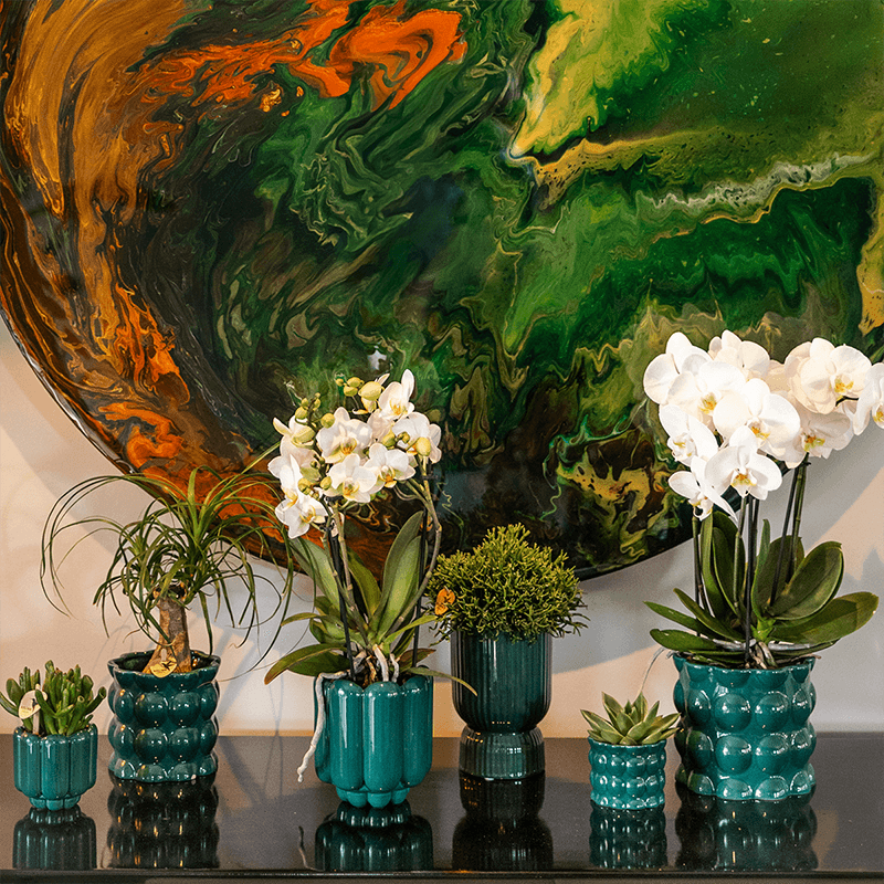 Übertopf Cotton Shine grün Ø9cm – Blumentopf mit Blasenrelief – hochglänzender Retro – Übertopf im 70er – Design – Pflanzenübertopf – Pot
