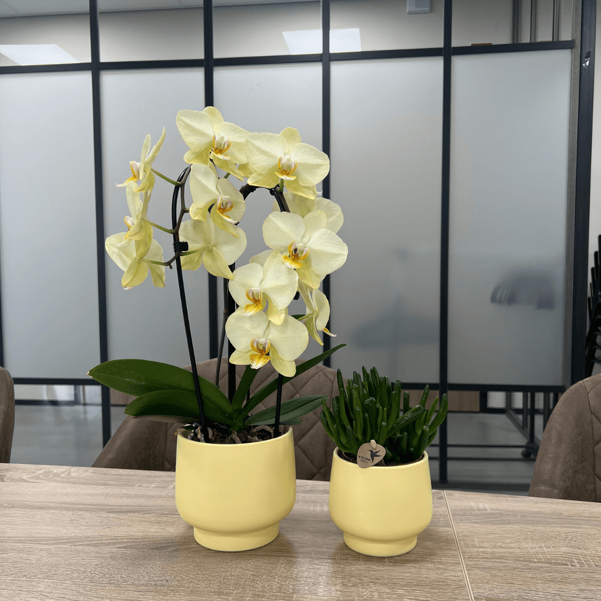 Scandic Blumentopf – Gelb – Ø9cm – Moderner Pflanztopf in Pastellgelb – Dekorativer Übertopf für Zimmerpflanzen, Orchideen & Kräuter – Plant