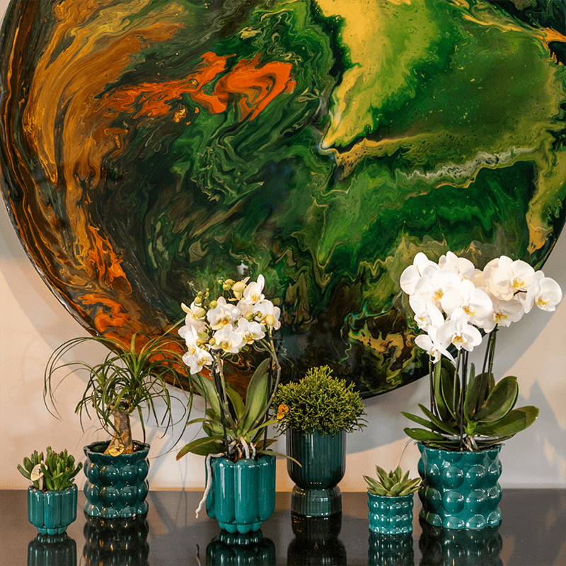 Übertopf Cotton Shine grün Ø12cm – Blumentopf mit Blasenrelief – hochglänzender Retro-Übertopf im 70er-Design – Pflanzenübertopf für Zimmerpflanzen, Sukkulenten & Kakteen – Pot