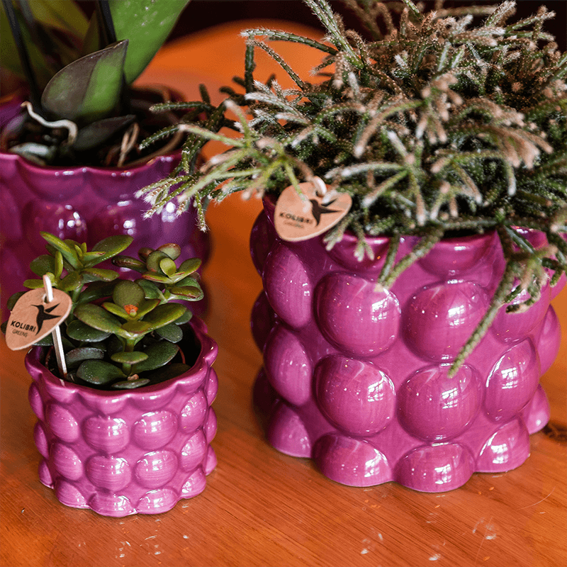 Übertopf Cotton Shine lila Ø9cm – Blumentopf mit Blasenrelief – hochglänzender Retro – Übertopf im 70er – Design – Pot