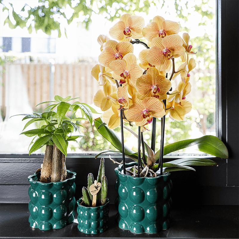 Übertopf Cotton Shine grün Ø9cm – Blumentopf mit Blasenrelief – hochglänzender Retro – Übertopf im 70er – Design – Pflanzenübertopf – Pot