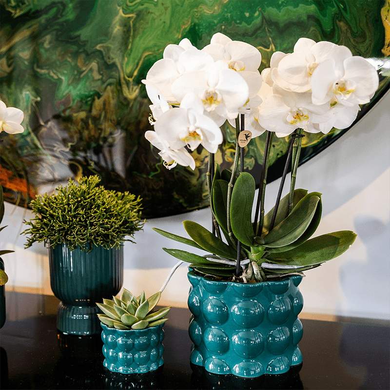 Übertopf Cotton Shine grün Ø12cm – Blumentopf mit Blasenrelief – hochglänzender Retro-Übertopf im 70er-Design – Pflanzenübertopf für Zimmerpflanzen, Sukkulenten & Kakteen – Pot