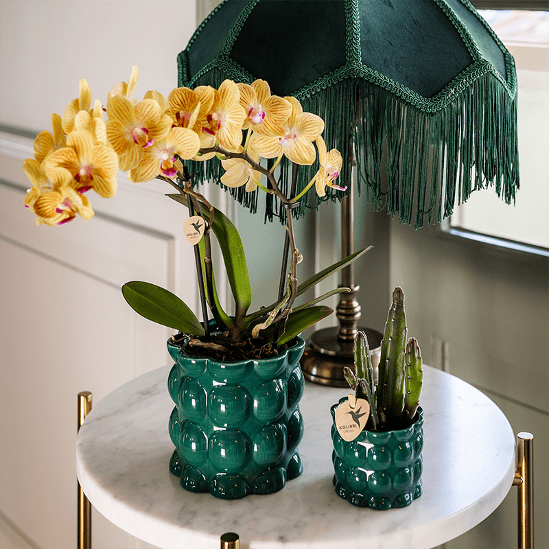 Übertopf Cotton Shine grün Ø9cm – Blumentopf mit Blasenrelief – hochglänzender Retro – Übertopf im 70er – Design – Pflanzenübertopf – Pot