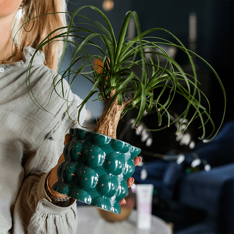 Übertopf Cotton Shine grün Ø9cm – Blumentopf mit Blasenrelief – hochglänzender Retro – Übertopf im 70er – Design – Pflanzenübertopf – Pot