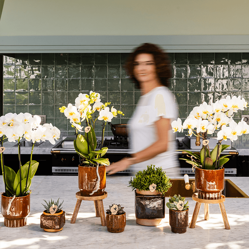 Ziertopf Classy Cube – Braun – Ø6cm – Quadratischer Keramik Blumentopf in glänzender Optik – Übertopf im Retro – Stil für Mini – Plant