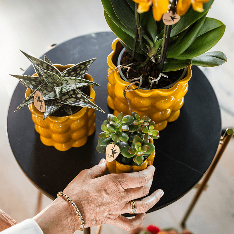 Übertopf Cotton Shine gelb Ø9cm – Blumentopf mit Blasenrelief – hochglänzender Retro – Übertopf im 70er – Design – Pot