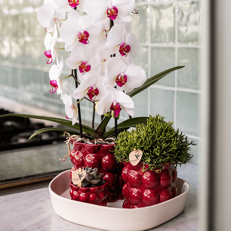 Übertopf Cotton Shine rot Ø9cm – Blumentopf mit Blasenrelief – hochglänzender Retro – Übertopf im 70er – Design – Pot