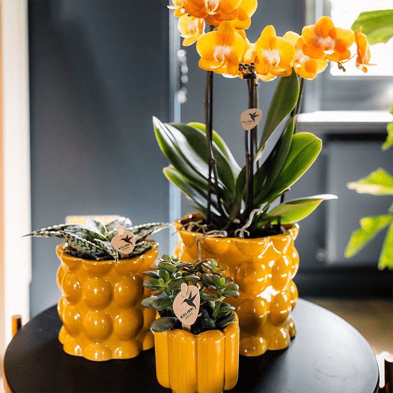 Übertopf Cotton Shine gelb Ø9cm – Blumentopf mit Blasenrelief – hochglänzender Retro – Übertopf im 70er – Design – Pot
