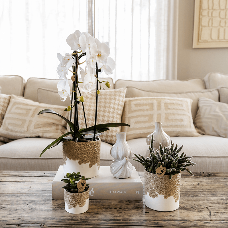 Ziertopf Bloom Sand Ø9cm – Dekotopf in Sandton mit Blütenrelief am Rand – kleiner Übertopf für Zimmerpflanzen, Ableger & Kräuter – Pot