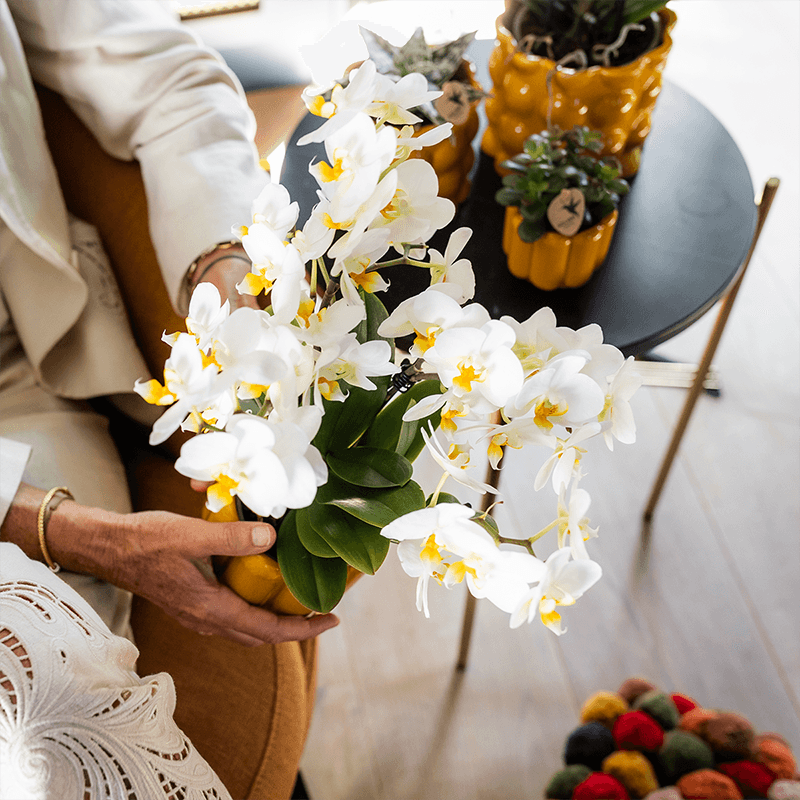 Pflanzengeschenk Gute Besserung – Weiße Phalaenopsis Orchidee Ø9cm im Dekotopf – Inklusive Geschenktasche & Grußkarte Get well soon – Plant