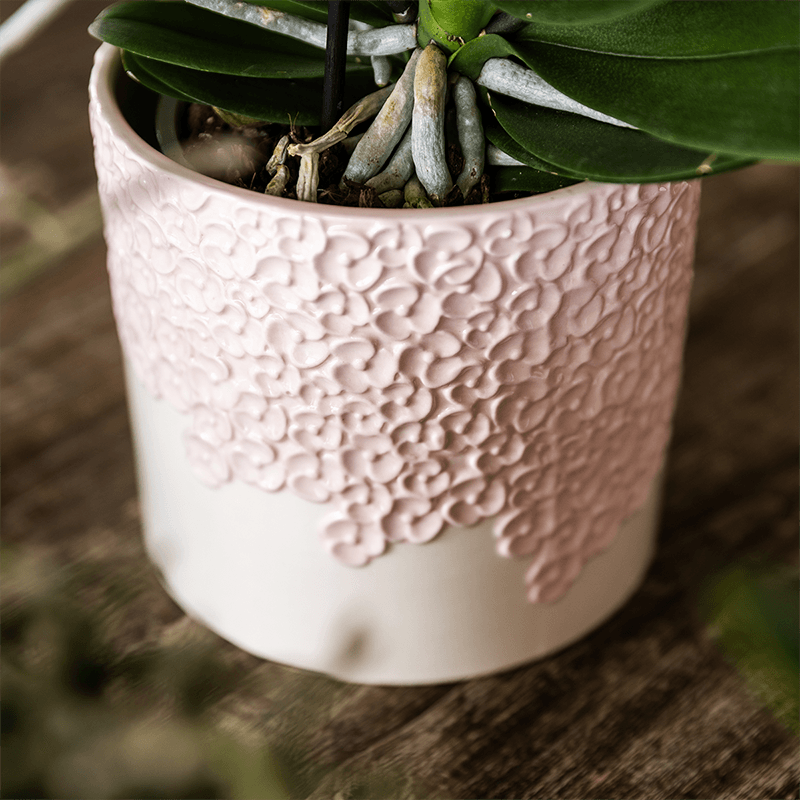 Ziertopf Bloom Pink – Blumentopf Ø12cm – Romantischer Übertopf mit Blütenstruktur – Design Pflanztopf für Zimmerpflanzen Sukkulenten & Deko