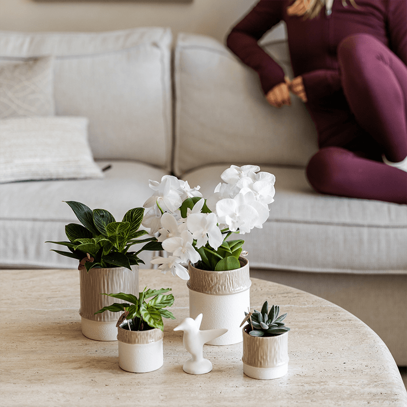 Übertopf Tree sand Ø9cm – Blumentopf mit dezentem Relief – neutraler Keramik – Übertopf für kleine Zimmerpflanzen, Orchideen & Sukkulenten – Pot