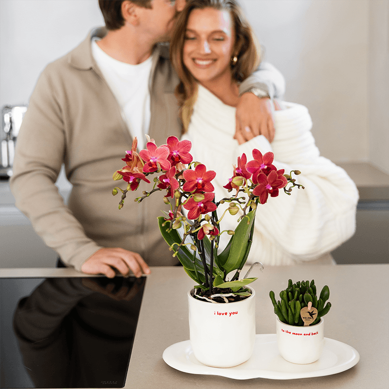 Ziertopf I Love You – Ø9cm – Weißer Keramiktopf mit rotem Schriftzug – Romantischer Blumentopf als Geschenkidee – Plant