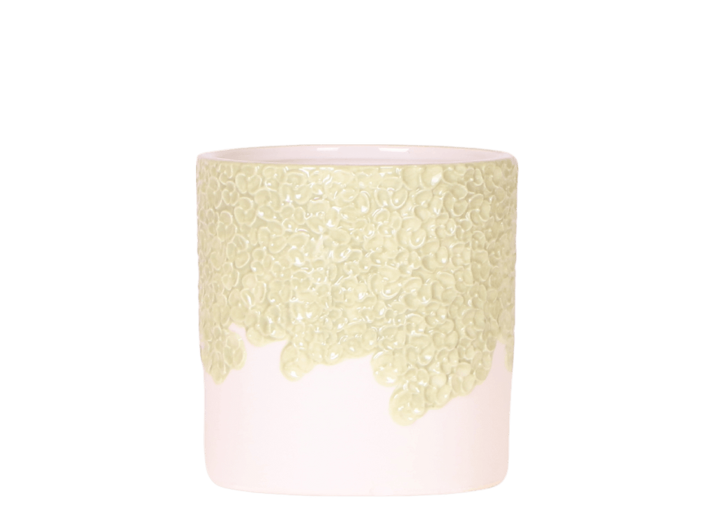 Ziertopf Bloom Green Ø9cm – Dekotopf in sanftem Grün mit Blütenrelief am Rand – kleiner Übertopf für Zimmerpflanzen, Ableger & Kräuter – Pot