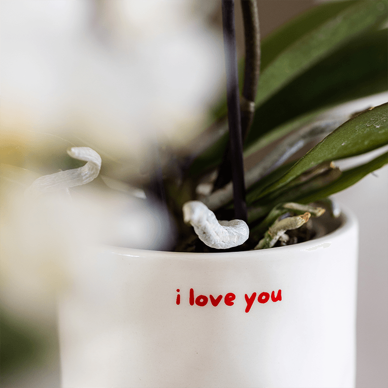 Ziertopf I Love You – Ø9cm – Weißer Keramiktopf mit rotem Schriftzug – Romantischer Blumentopf als Geschenkidee – Plant