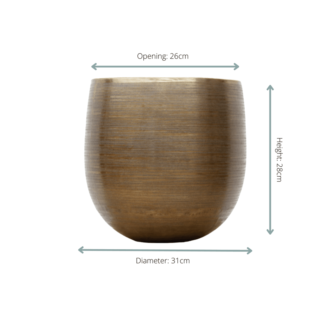 Pflanzgefäß Rowen Gold – D31xH28cm – Blumentopf in eleganter Goldoptik – Dekorativer Pflanzkübel für Innenräume – Stilvolles Pflanzgefäß für kleine und mittlere Zimmerpflanzen – Plant
