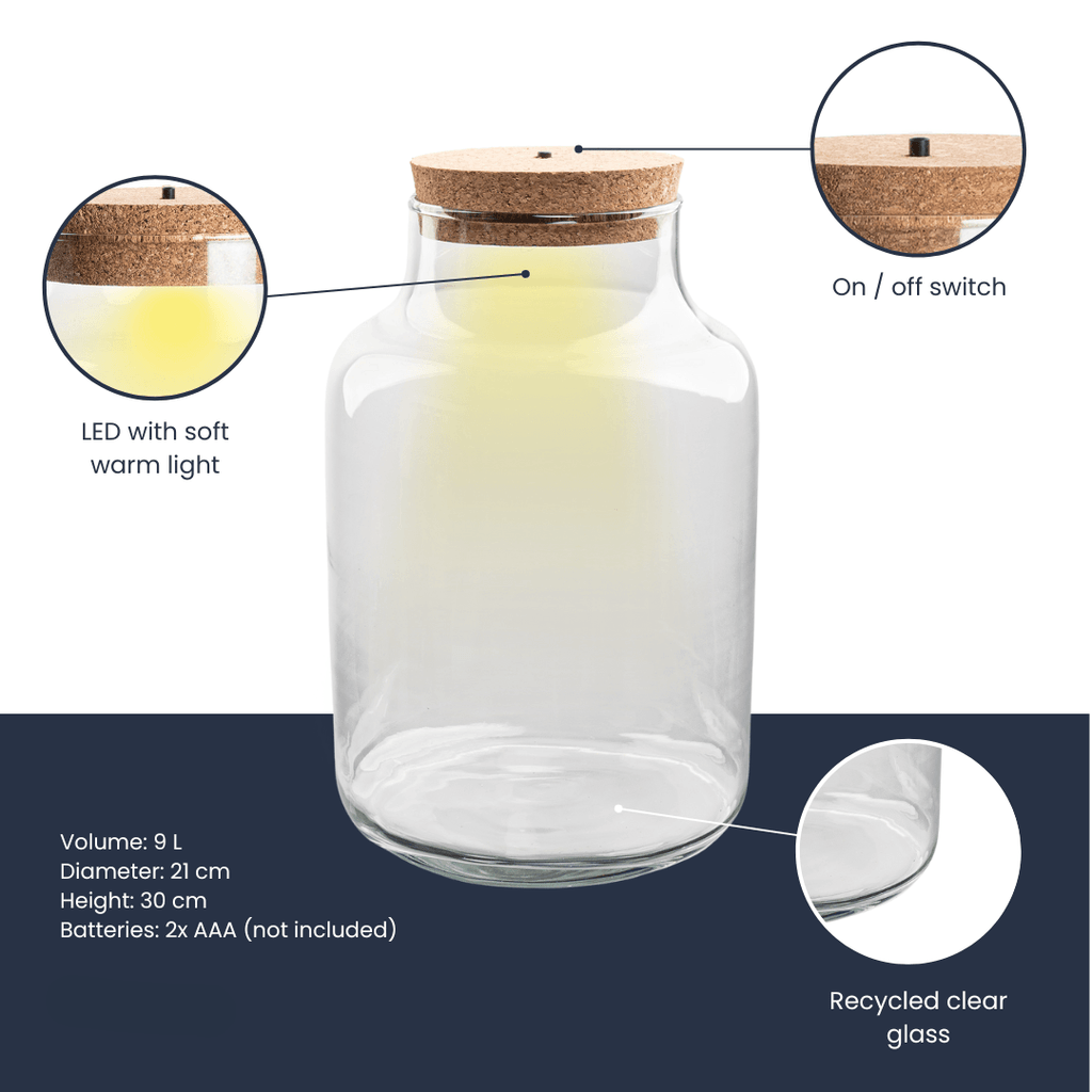 Terrarienflasche Milky mit LED – Korkdeckel – Ø21cm ↕30cm – Glasflasche aus Recyclingglas – ca. 9L Volumen – Ideal für DIY – Terrarien & Mini – Plant