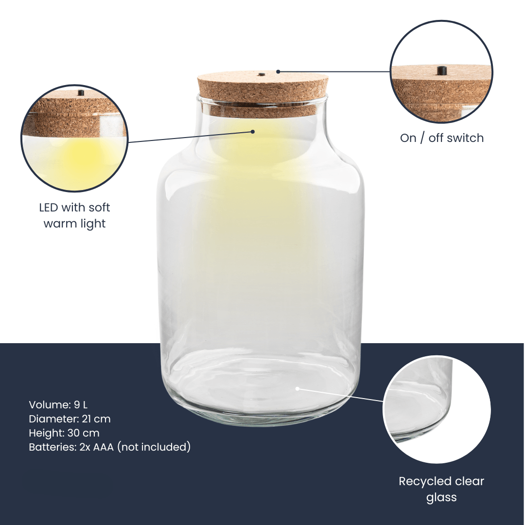 Terrarienflasche Milky mit LED – Korkdeckel – Ø21cm ↕30cm – Glasflasche aus Recyclingglas – ca. 9L Volumen – Ideal für DIY – Terrarien & Mini – Plant
