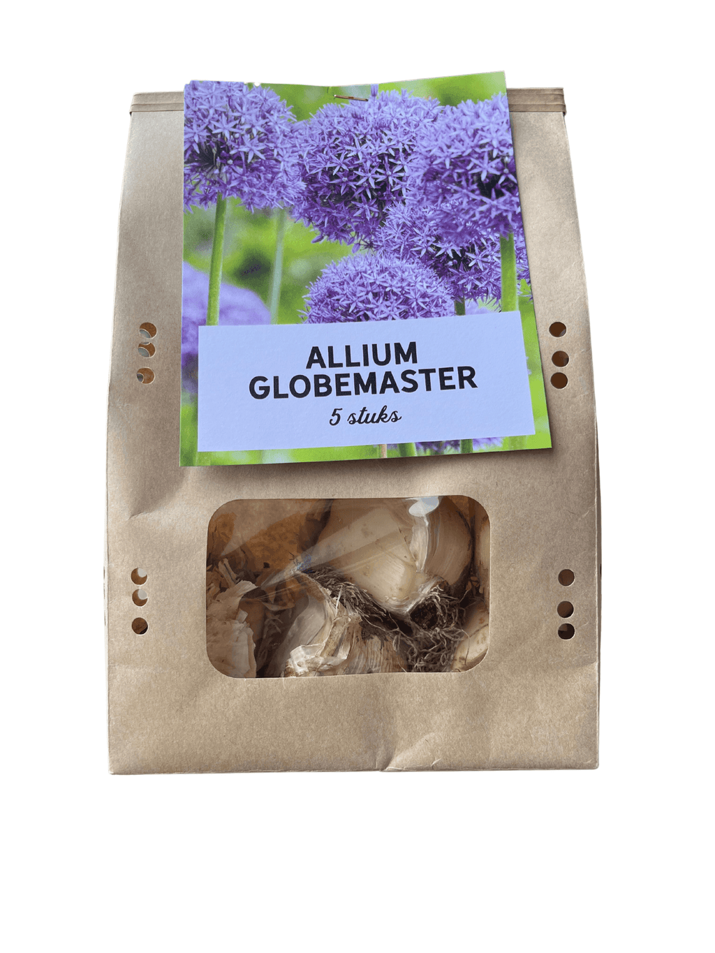 Allium 'Globemaster' – Zierlauch Blumenzwiebeln – 5 Blumenzwiebeln – Extra große violette Blütenbälle – Winterharte Staude für Beet, Rabatte & Schnitt – XXL-Zwiebeln – Plant