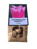 Tulpenzwiebeln 'Dynasty' – 20 Blumenzwiebeln – Frühlingsblumen für Beet & Topf – Pflegeleicht & winterhart – Hochwertige Blumenzwiebeln – Plant