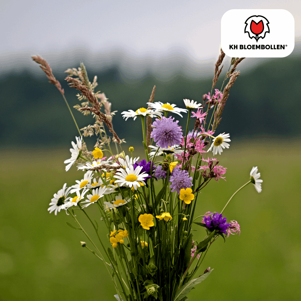 Wildblumensamen – 100g für 30–50m² – Bienen- & Schmetterlingsfreundlich – Einjährige & mehrjährige Blumen – Für Garten, Wiese, Beet – GVO-frei & nachhaltig – Plant