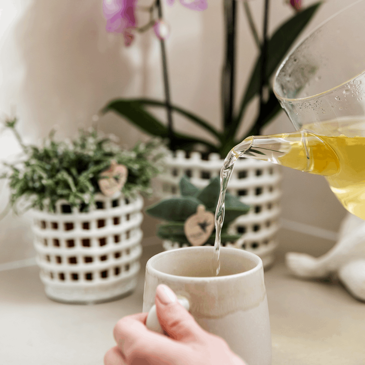 Mesh Ziertopf Ø9cm – Moderner Pflanztopf mit Strukturdesign – Dekorativer Übertopf für Zimmerpflanzen & Kräuter – Pot