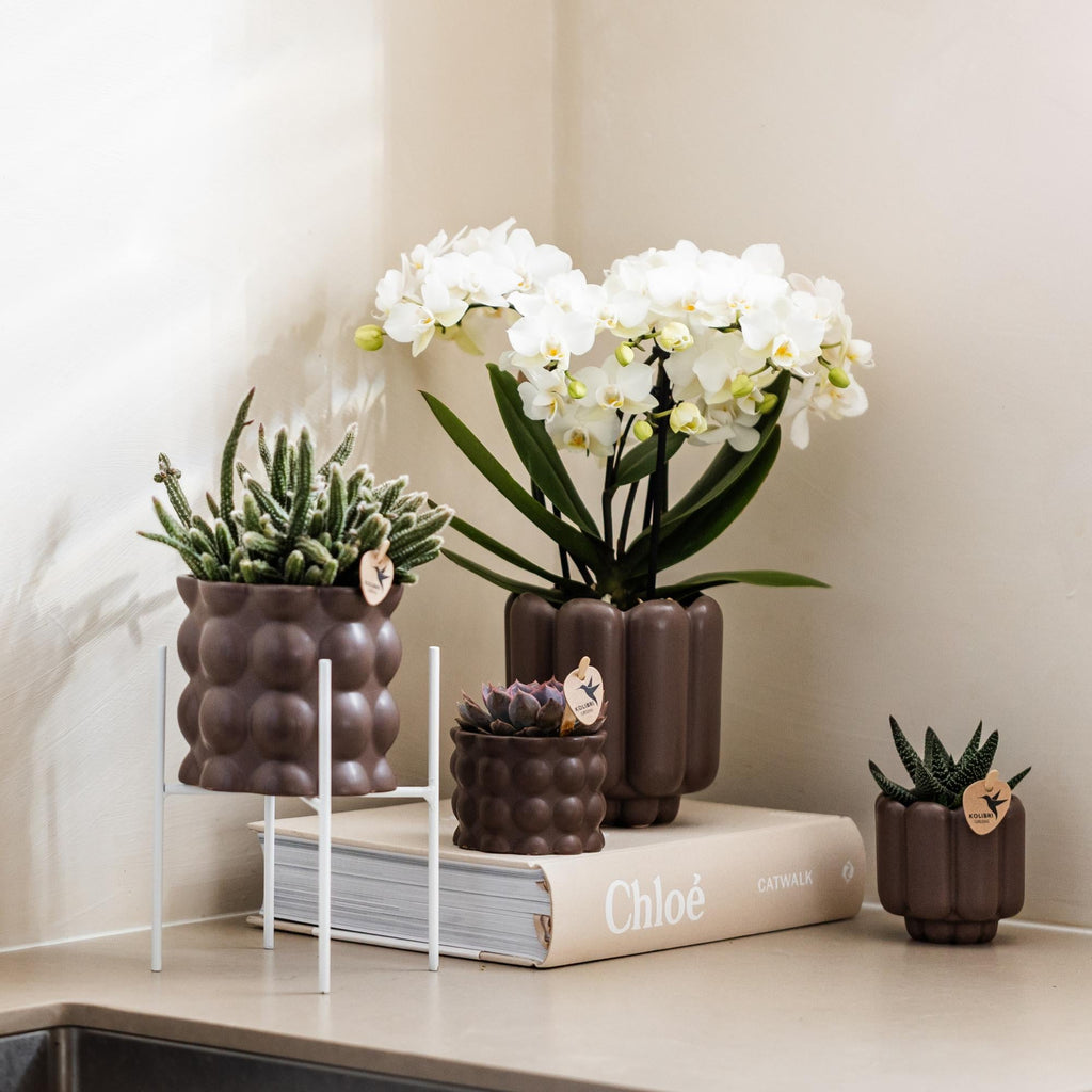 Weißer Metall – Pflanzenständer Ø12cm – Blumentopfständer aus Metall – Pflanzenhalter für Zimmerpflanzen – Stabil, stilvoll & vielseitig – Plant