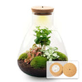 Flaschengarten Sam mit LED – DIY Bausatz Terrarium – ↕30cm – Do – It – Yourself Pflanzen – Set mit LED – Beleuchtung & Korkdeckel – Plant