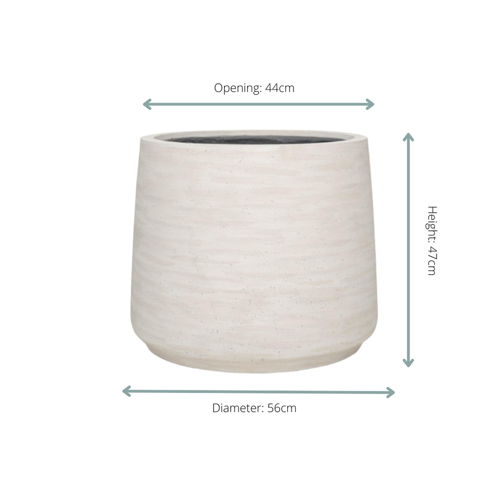 Pflanztopf Jumbo Patt Ivory Washed – D56xH47cm – Moderner Design – Blumentopf in Elfenbeinoptik – Wetterfester Pflanzkübel für Innen & Außen – Plant