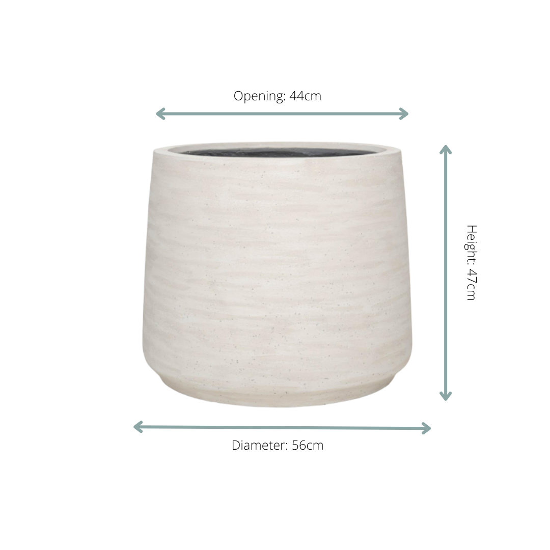 Pflanztopf Jumbo Patt Ivory Washed – D56xH47cm – Moderner Design – Blumentopf in Elfenbeinoptik – Wetterfester Pflanzkübel für Innen & Außen – Plant